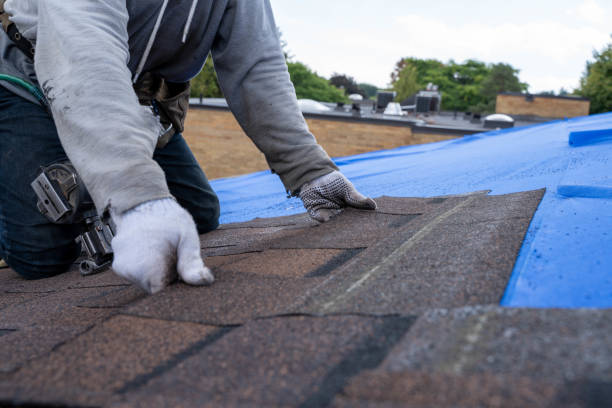 Best Flat Roof Repair Services  in Ahuimanu, HI
